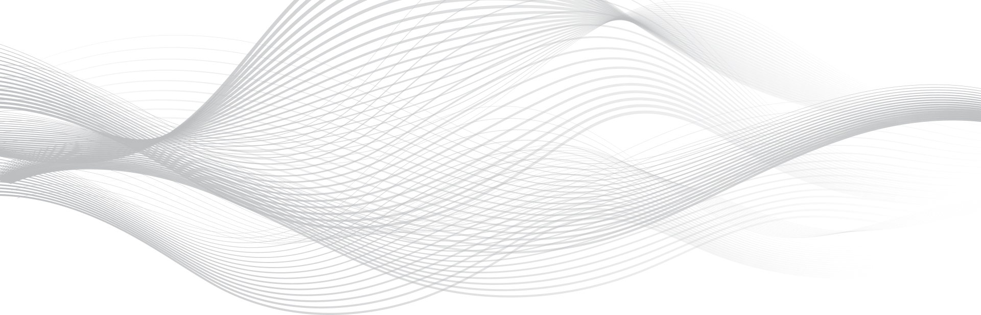 FRAMUN - Background
